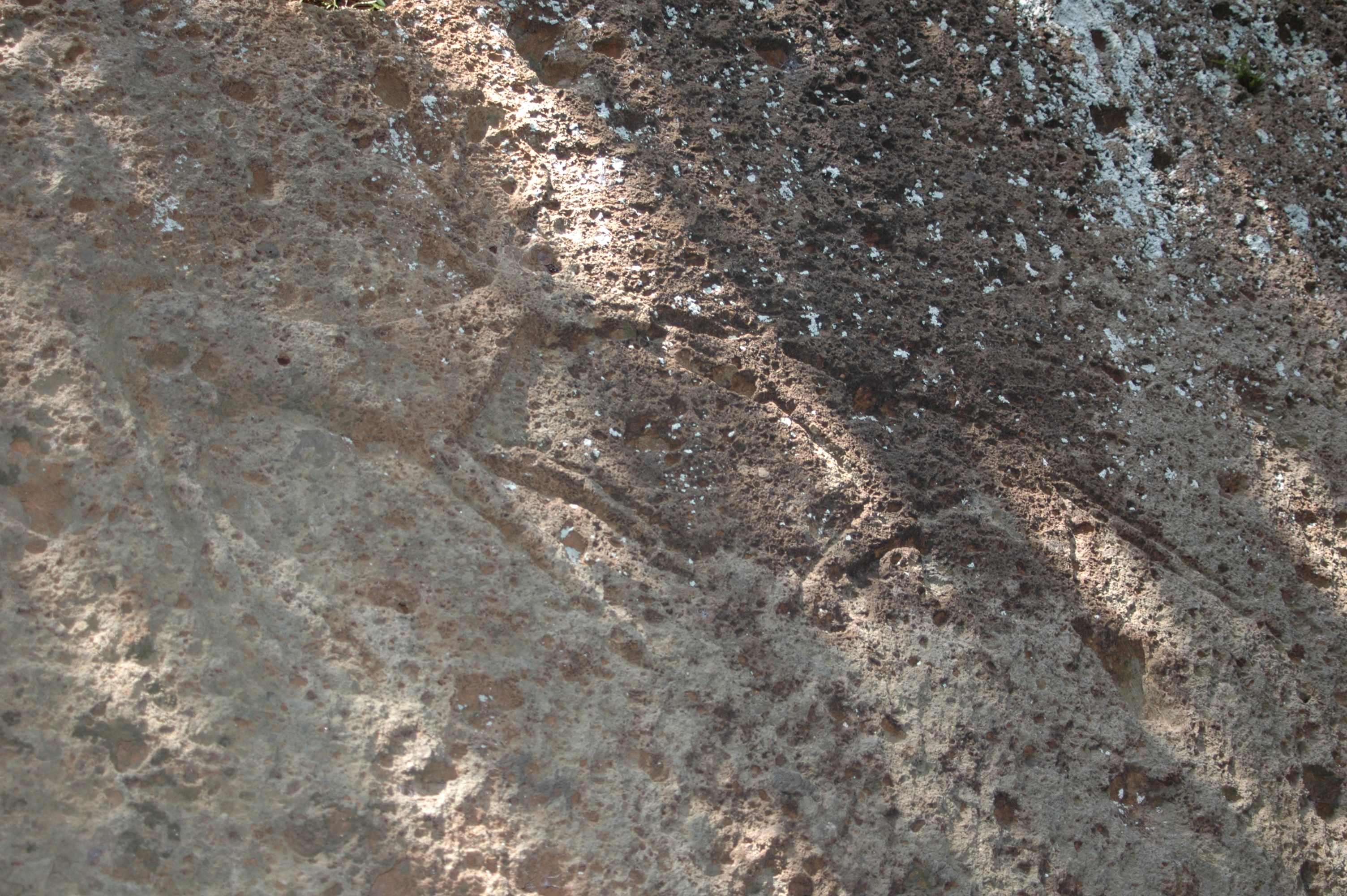 bassorilievo sulla tomba del cervo