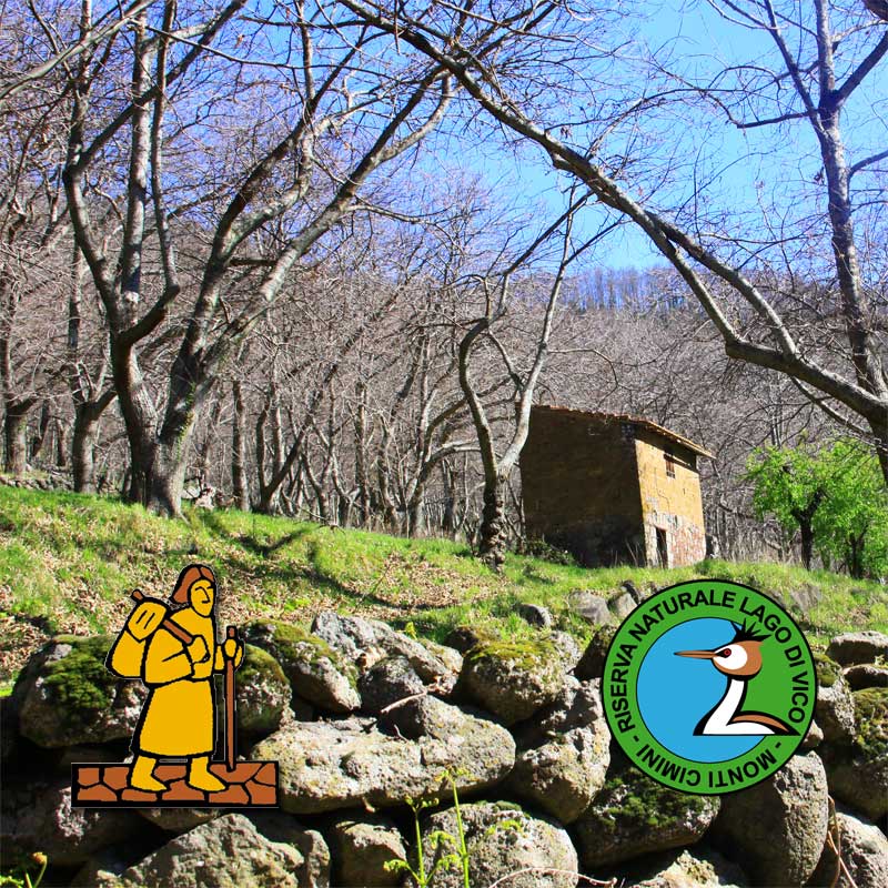 Muretti a secco lungo la Via Francigena Cimina