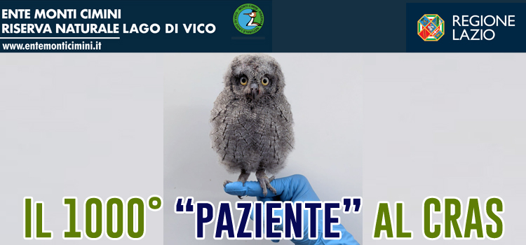 ...e sono 1000!