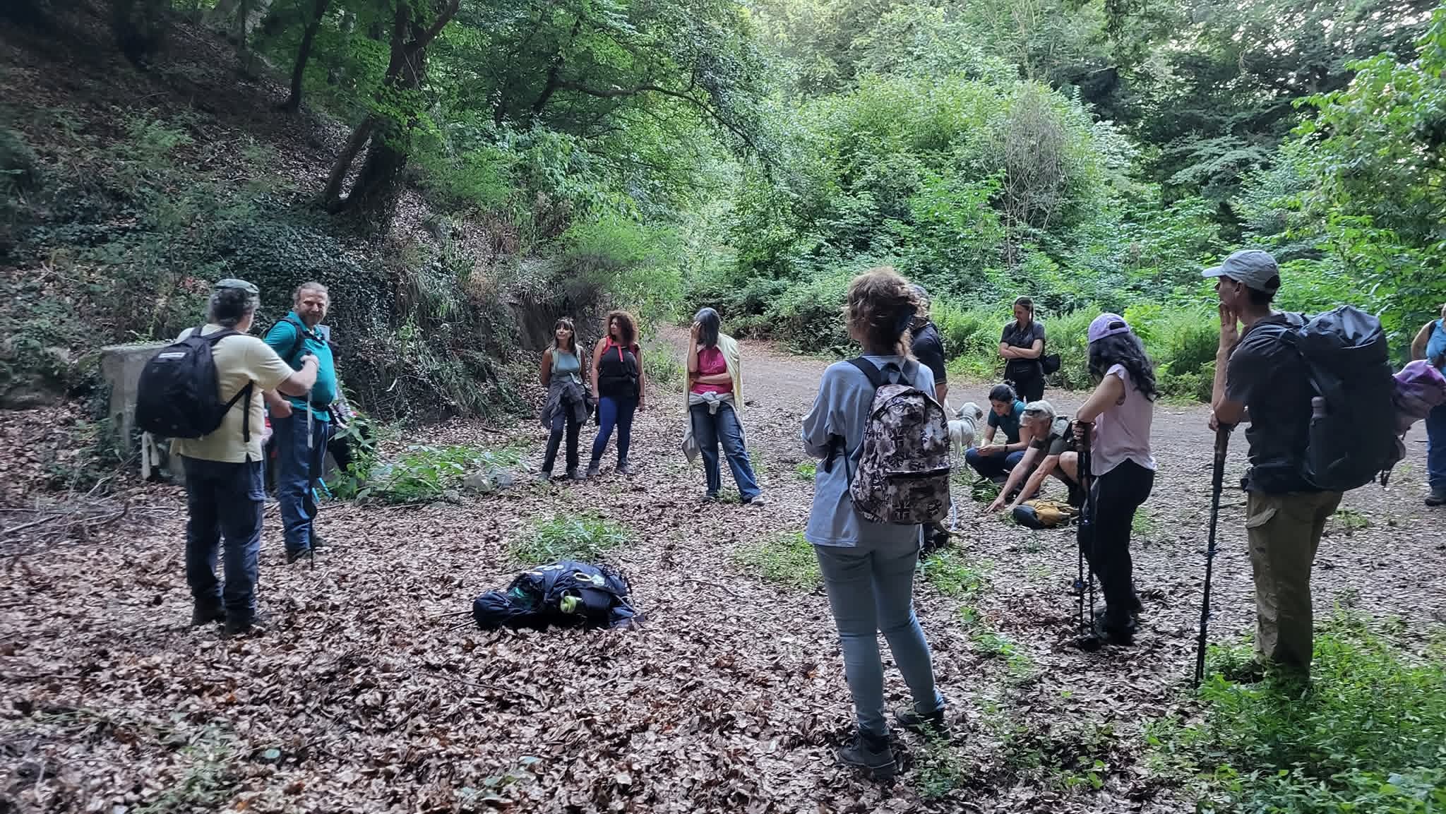 Una sera di mezz'estate sui sentieri della faggeta di Bassano - TESORI NATURALI 2026