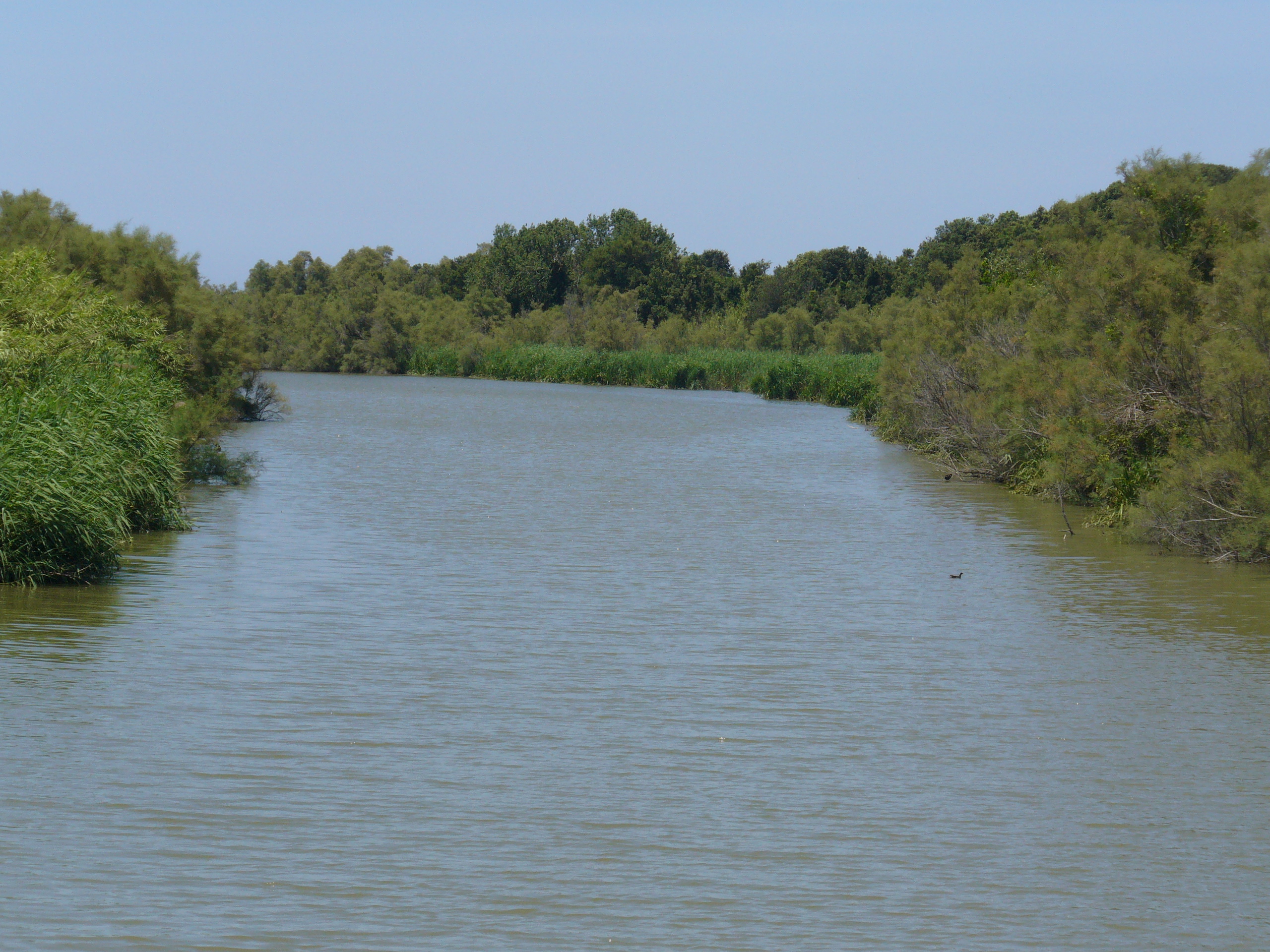 Adozione Piano di Gestione <br /> della Riserva Litorale Romano