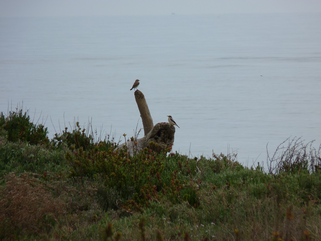 Istituiti nuovi Monumenti Naturali nella Regione Lazio