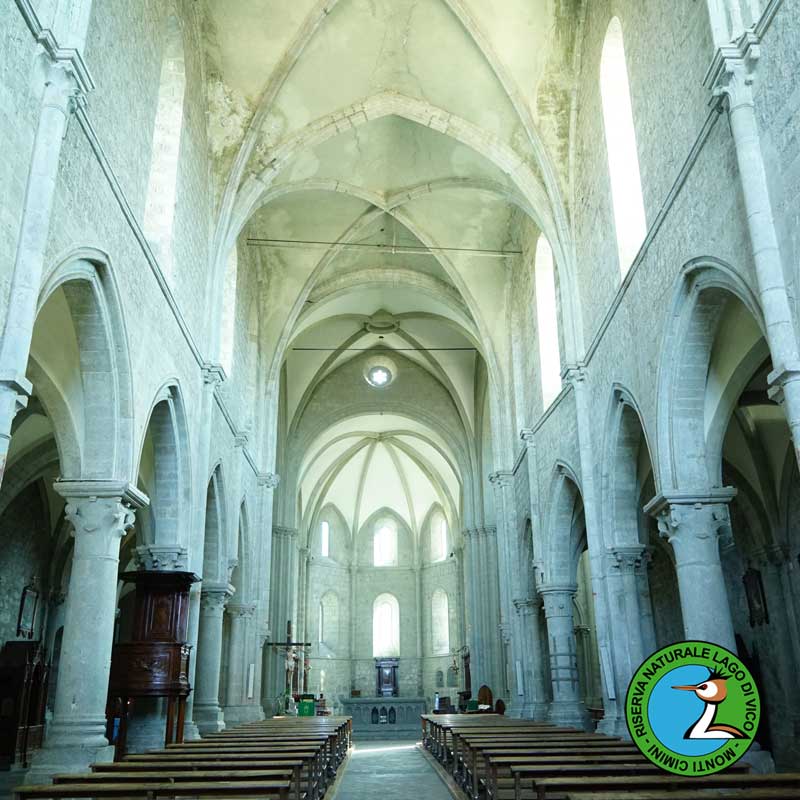 La cattedrale di San Martino (Vt)