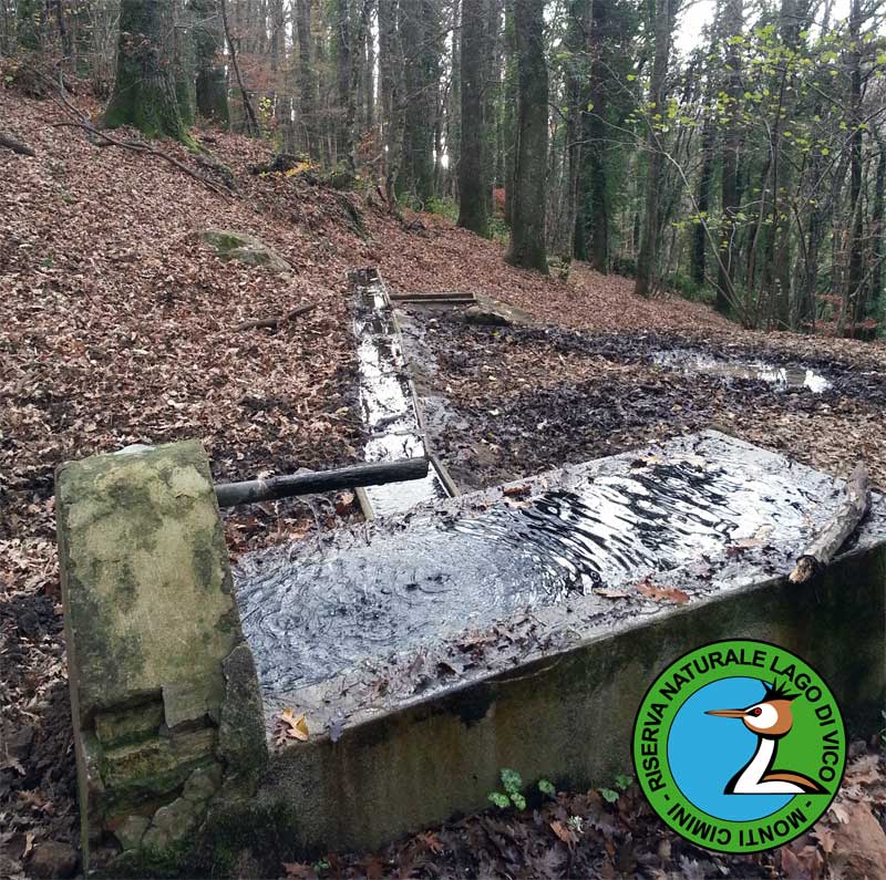 Fontanile lungo il sentiero 128C