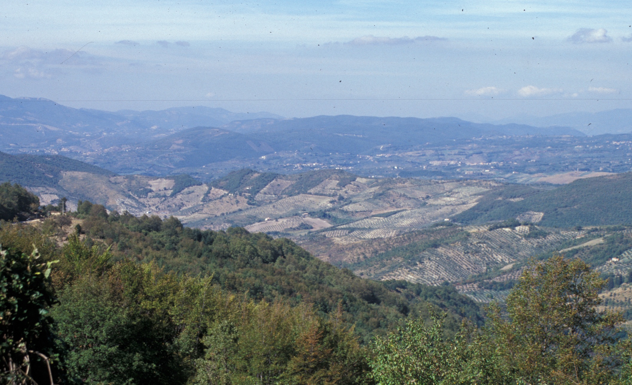 Expo del parco 2026 - San Polo dei Cavalieri