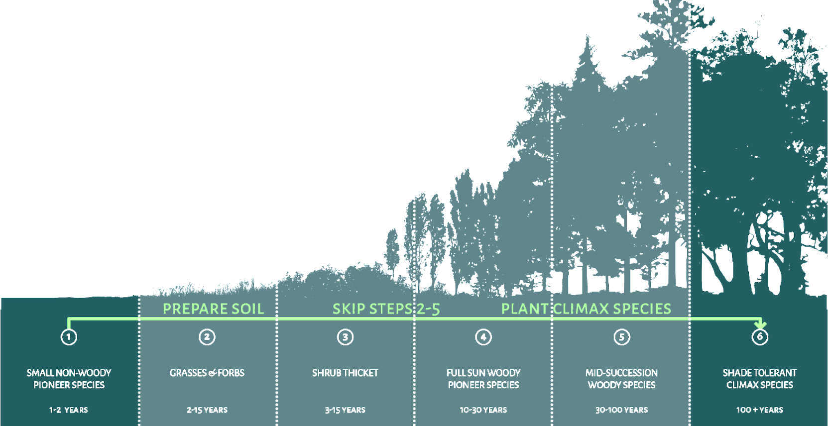Una Tiny Forest®