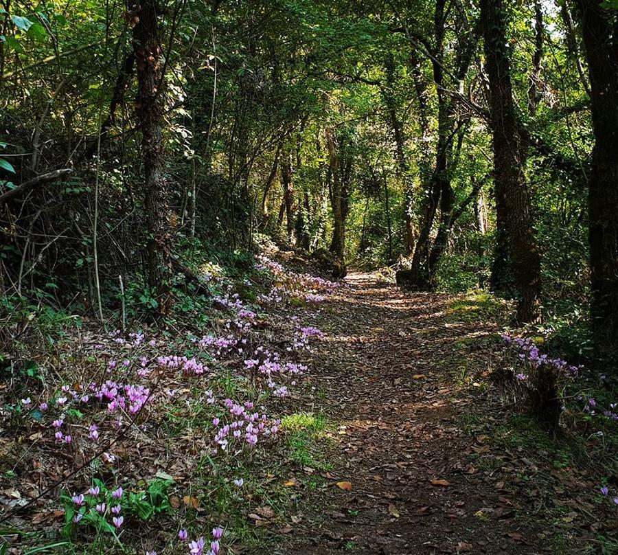 I sentieri del Parco - foto Lucia Scaturro