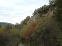 Giorniverdi - CAMMINANDO PER TUSCIA DELIZIOSA - Riserva Naturale Regionale Monte Casoli di Bomarzo (Provincia di Viterbo)
