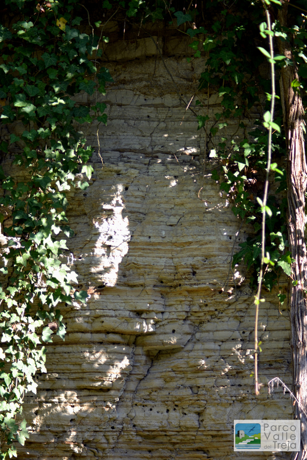 Diatomite: roccia sedimentaria - foto Archivio Parco