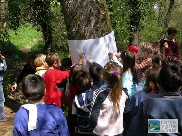 Attività di educazione ambientale intorno ad un albero - foto Archivio Parco