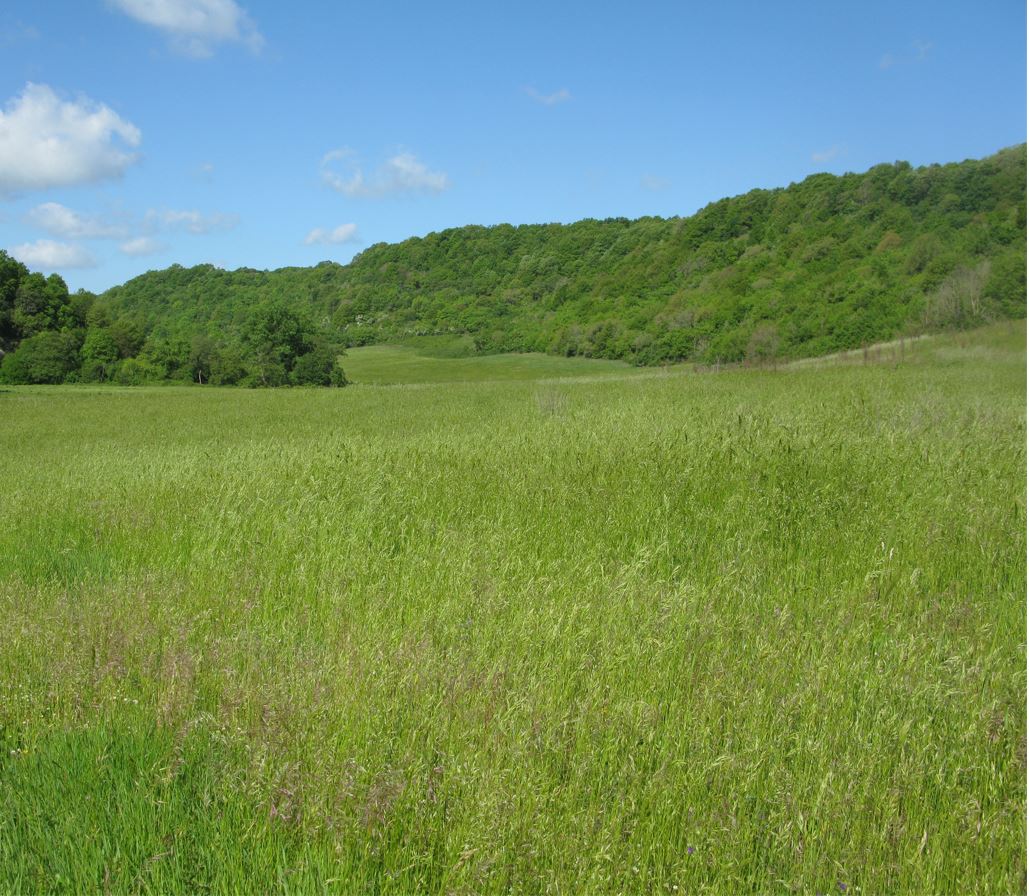 15 - da Pian di Sala a Semonte