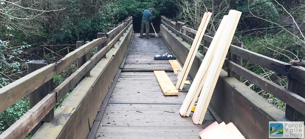 L'intervento dei guardiaparco sul ponte - foto Archivio Parco