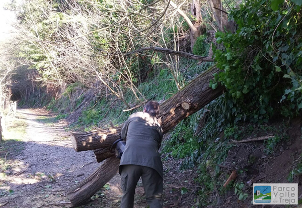 Guardiaparco al lavoro - foto Archivio Parco