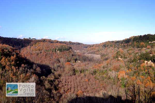 Le forre del Treja - foto Archivio Parco