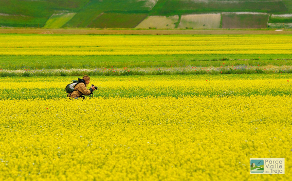 Piana di Castelluccio - foto Marco Branchi