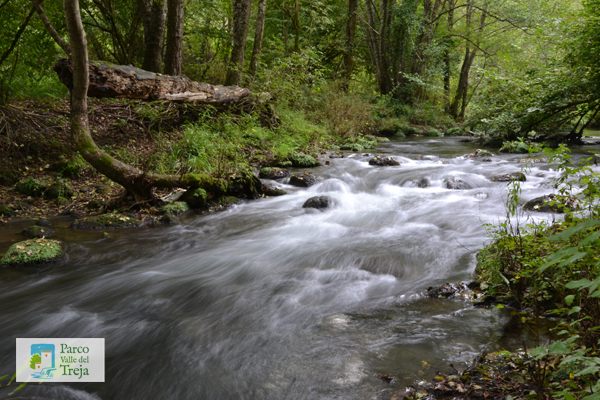 Fiume Treja - foto Archivio Parco
