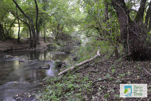 Fiume Treja - foto Archivio Parco