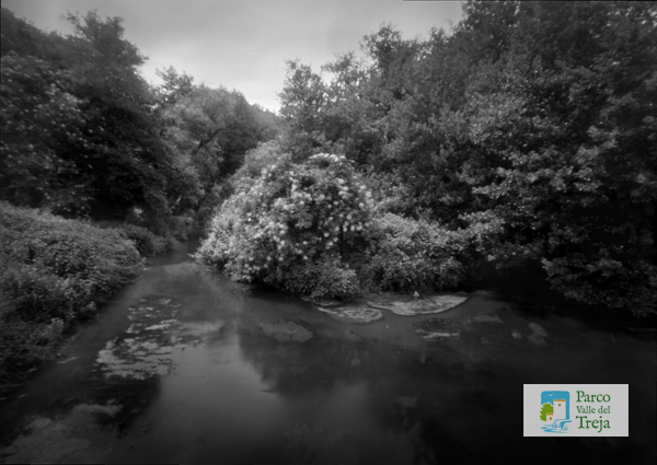 Senza titolo - stampa ai sali d'argento - Enrico Mariani