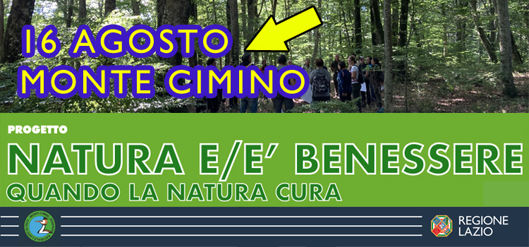 Quinto appuntamento con il benessere forestale, camminiamo nella faggeta vetusta di Monte Cimino