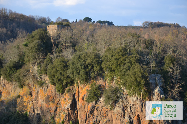Torre di Santa Maria - foto Archivio Parco
