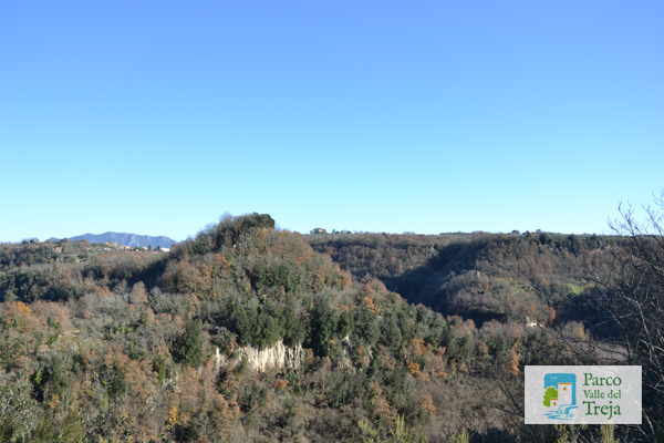 In primo piano la collina di Narce - foto Archivio Parco
