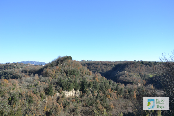 I boschi della valle del Treja - foto Archivio Parco