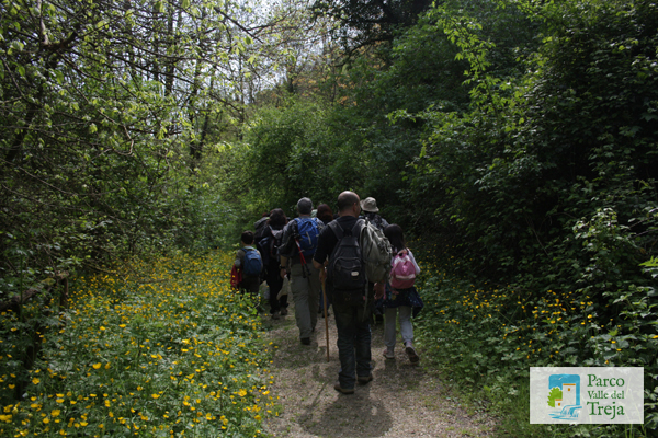 Escursione nel bosco - foto Cooperativa Lymph@