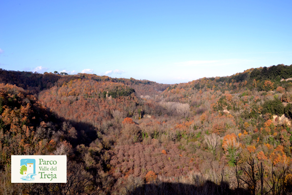 La valle del Treja - foto Archivio Parco