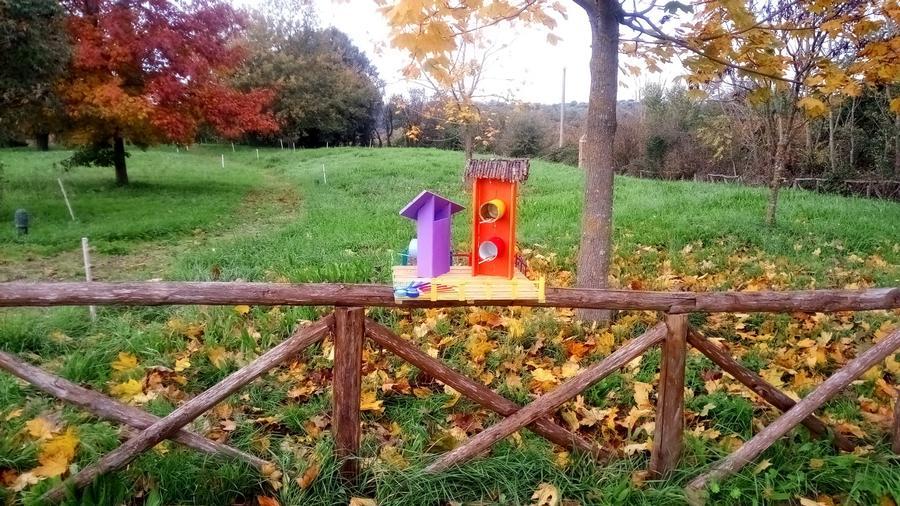 Una delle mangiatoie installate a Calcata