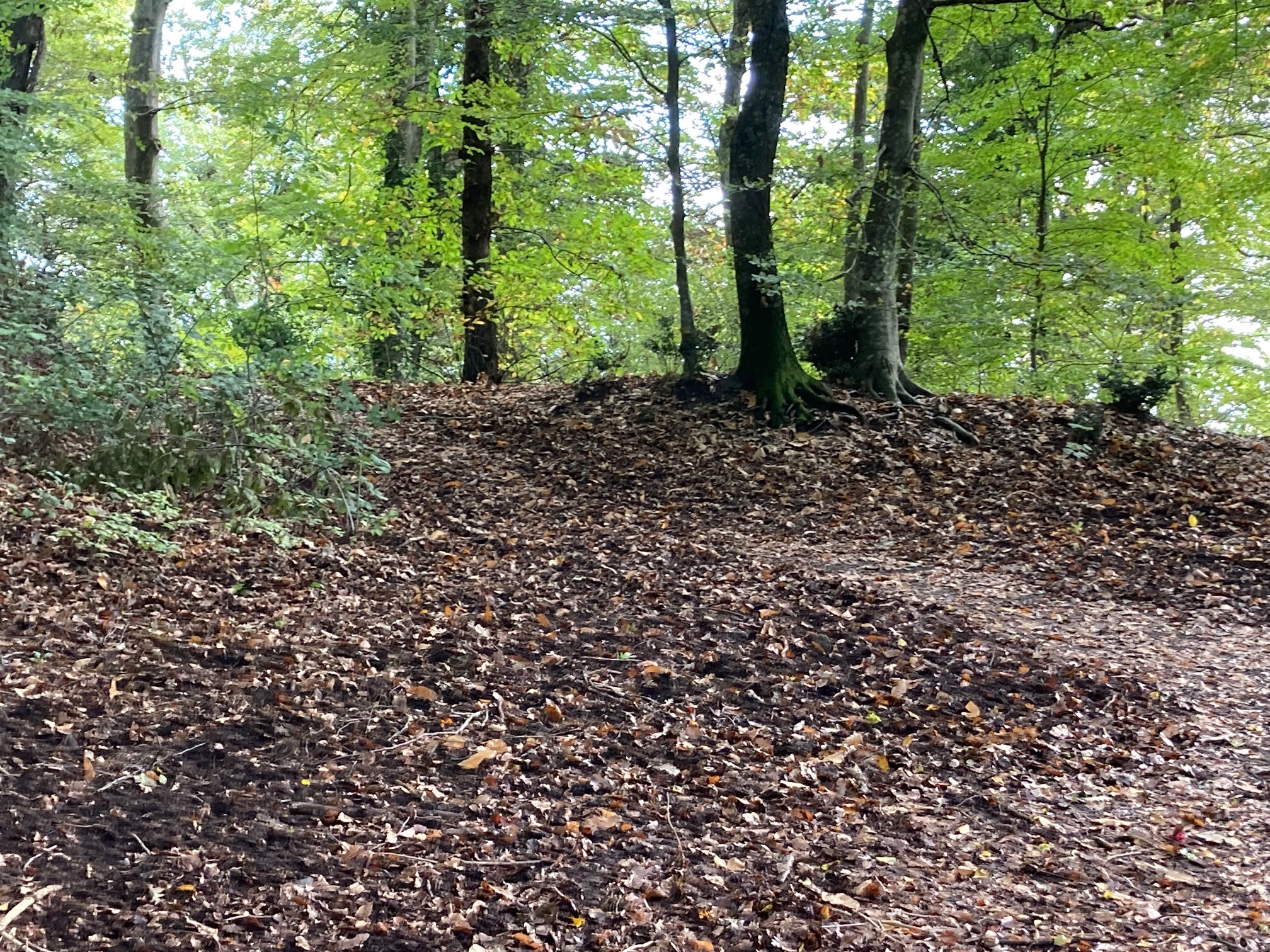 Sentiero CAI 176F Confine Vecchio - Bassano Romano (Viterbo)