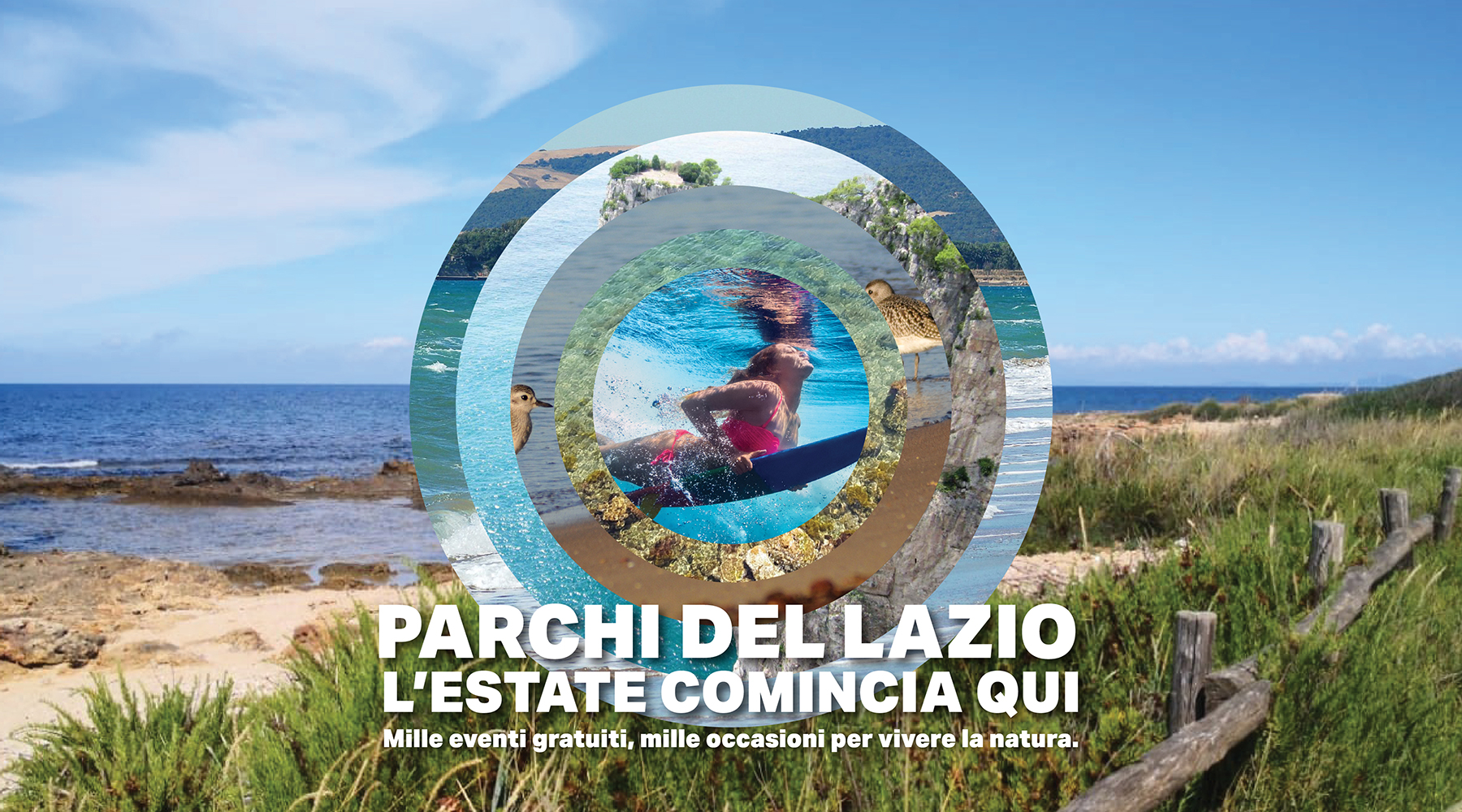 In spiaggia in punta di matita, esplorazioni ed osservazioni