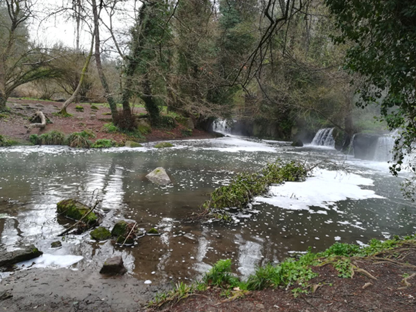 Schiuma presso le cascate di Monte Gelato - foto Archivio Parco