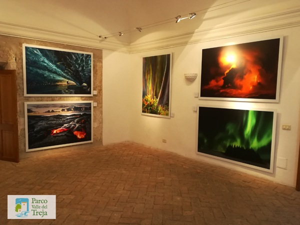 Una sala della mostra "Sinfonia della Natura" di Barbara Dall'Angelo - foto Archivio Parco