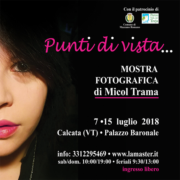 La locandina della mostra