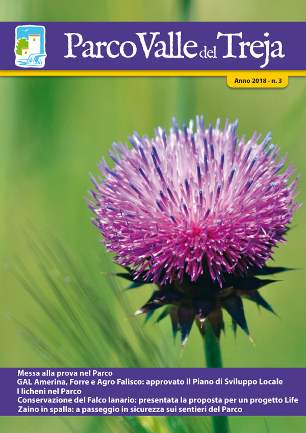 La copertina del giornale di settembre