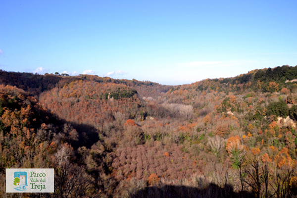 La collina di Narce - foto Archivio Parco