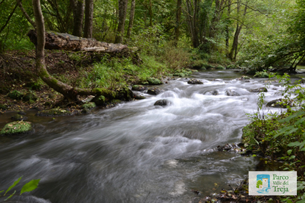Visite guidate prima e dopo Pasqua