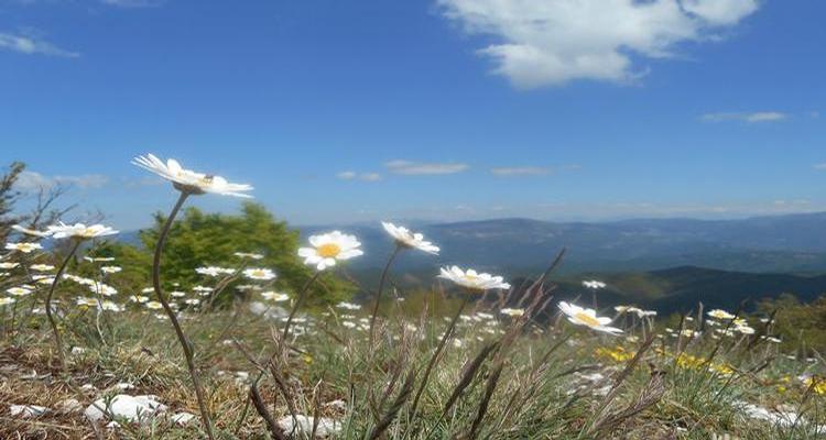 Si terrà sul Monte Navegna la giornata della Sicurezza in Montagna