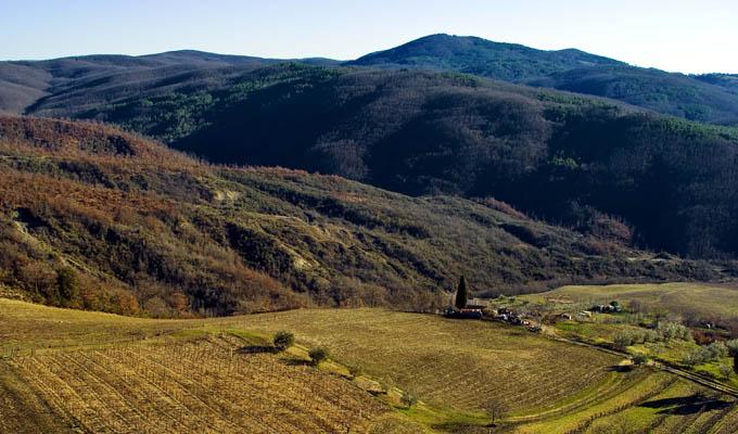I fiori di San Giovanni