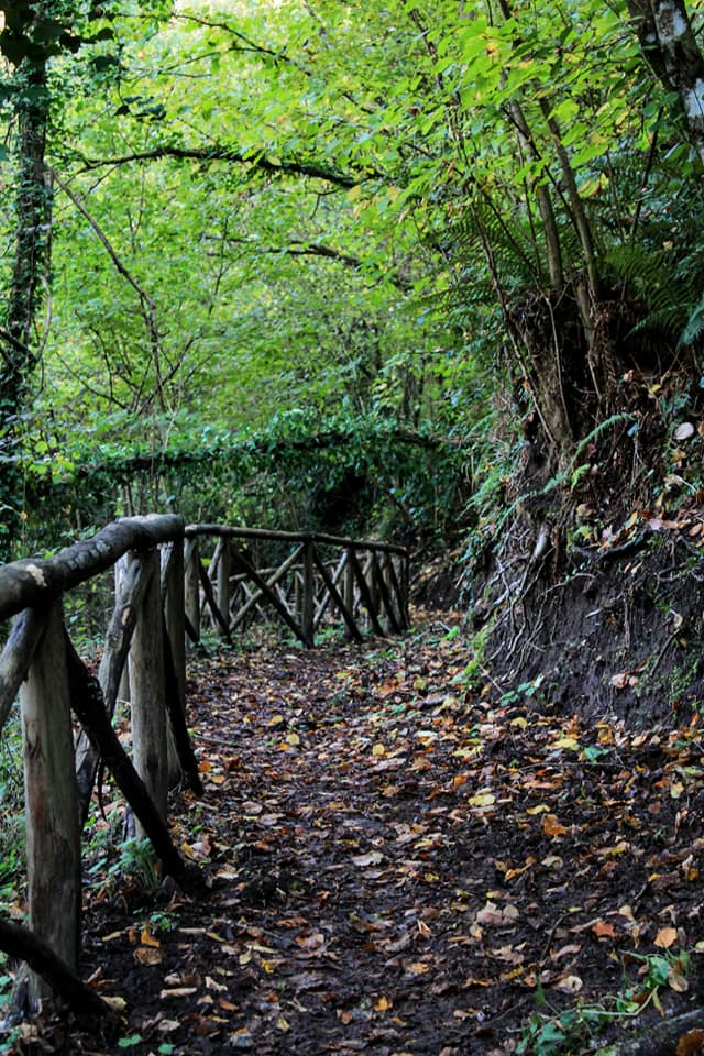 I sentieri del Parco - foto Olga Paduraru