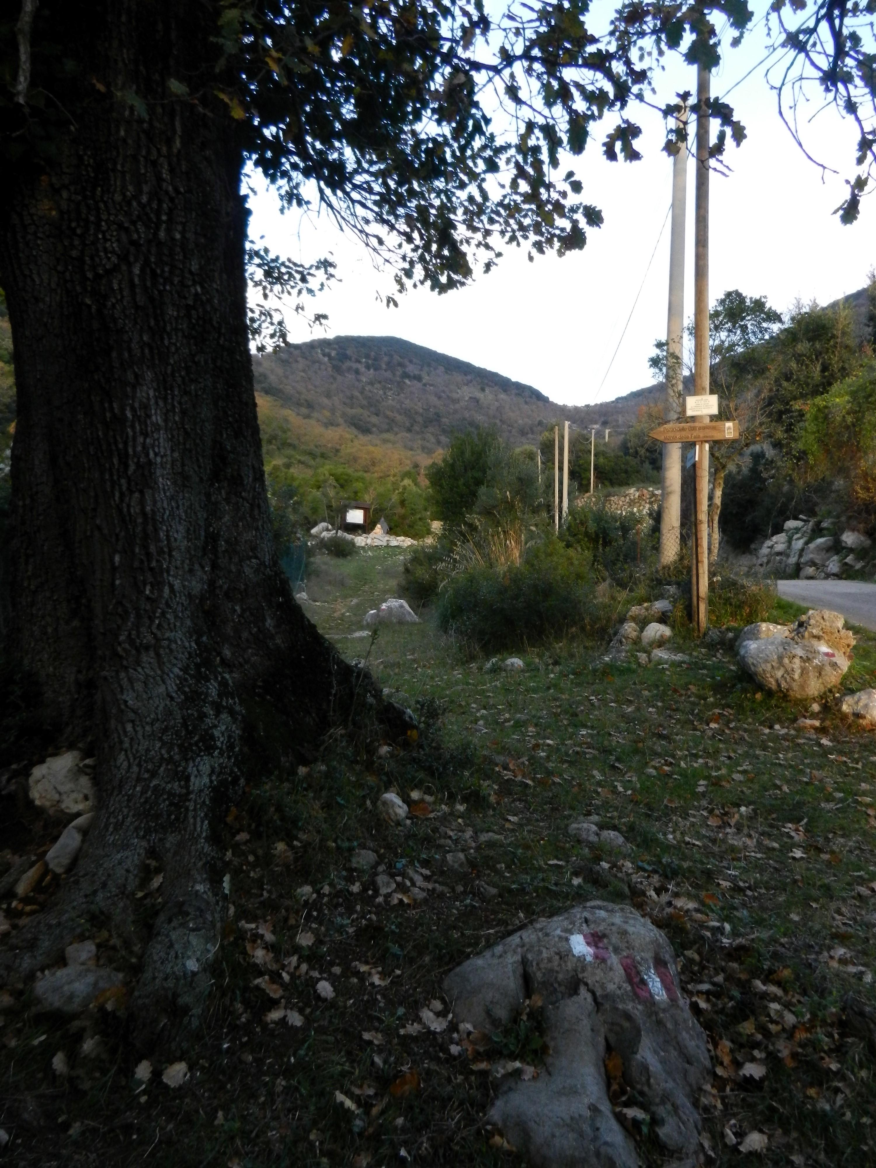 CAI 536 Anello Mandra di Riccitiello - Jo Caturo