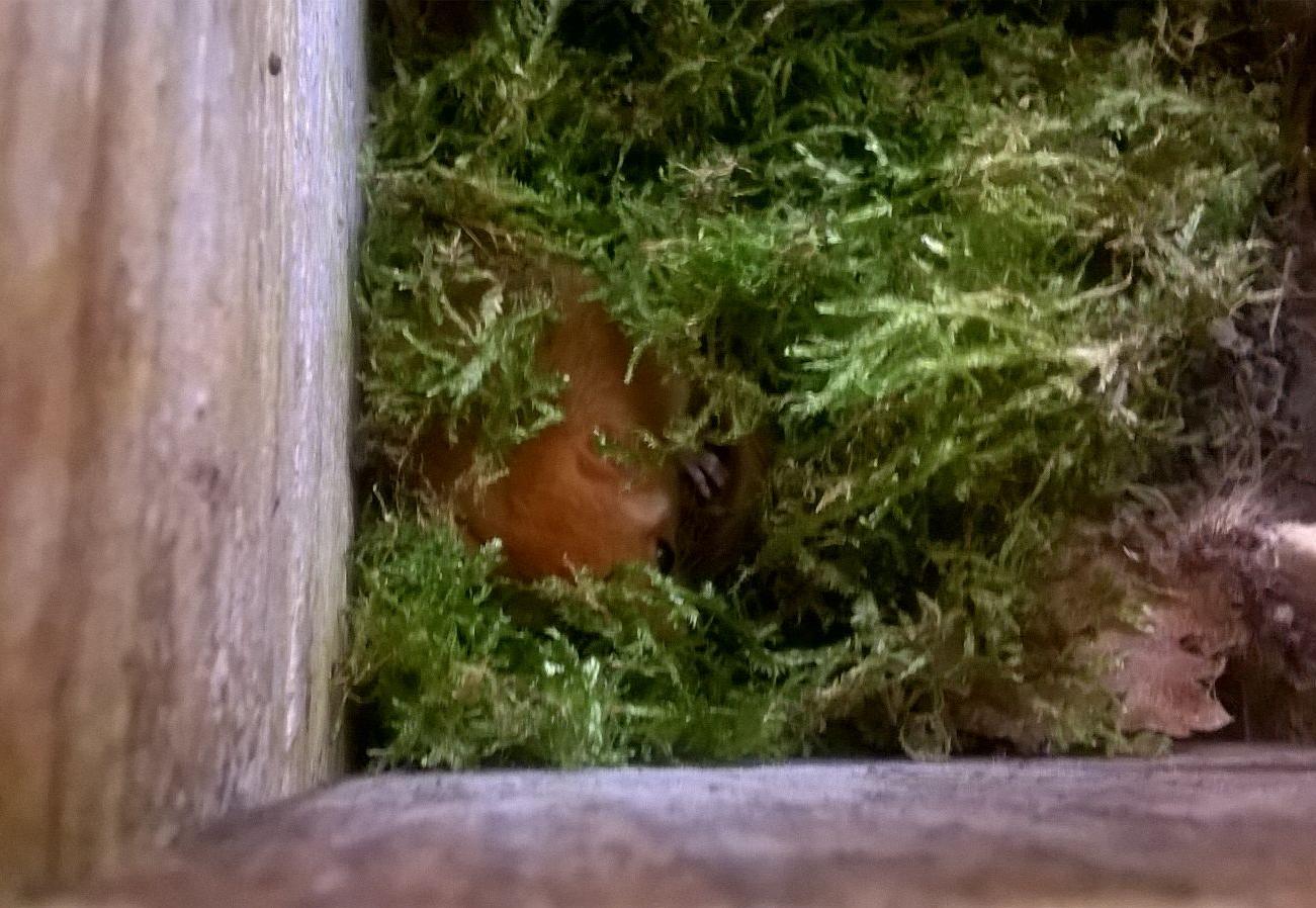 Autore foto: Davide Genovesi