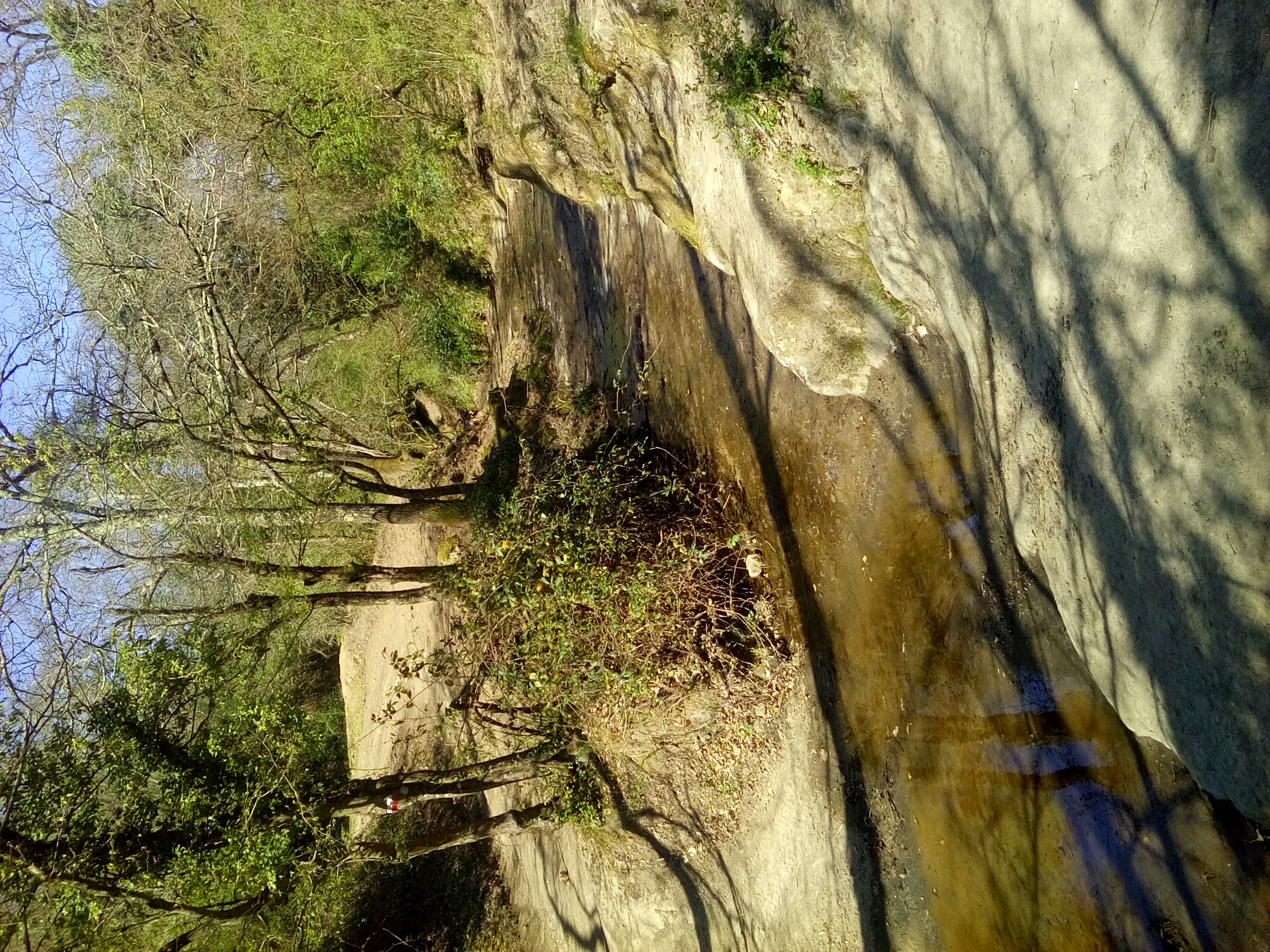 Contributo fotografico dei Guardiaparco Paolo Meschini e Paolo Verucci