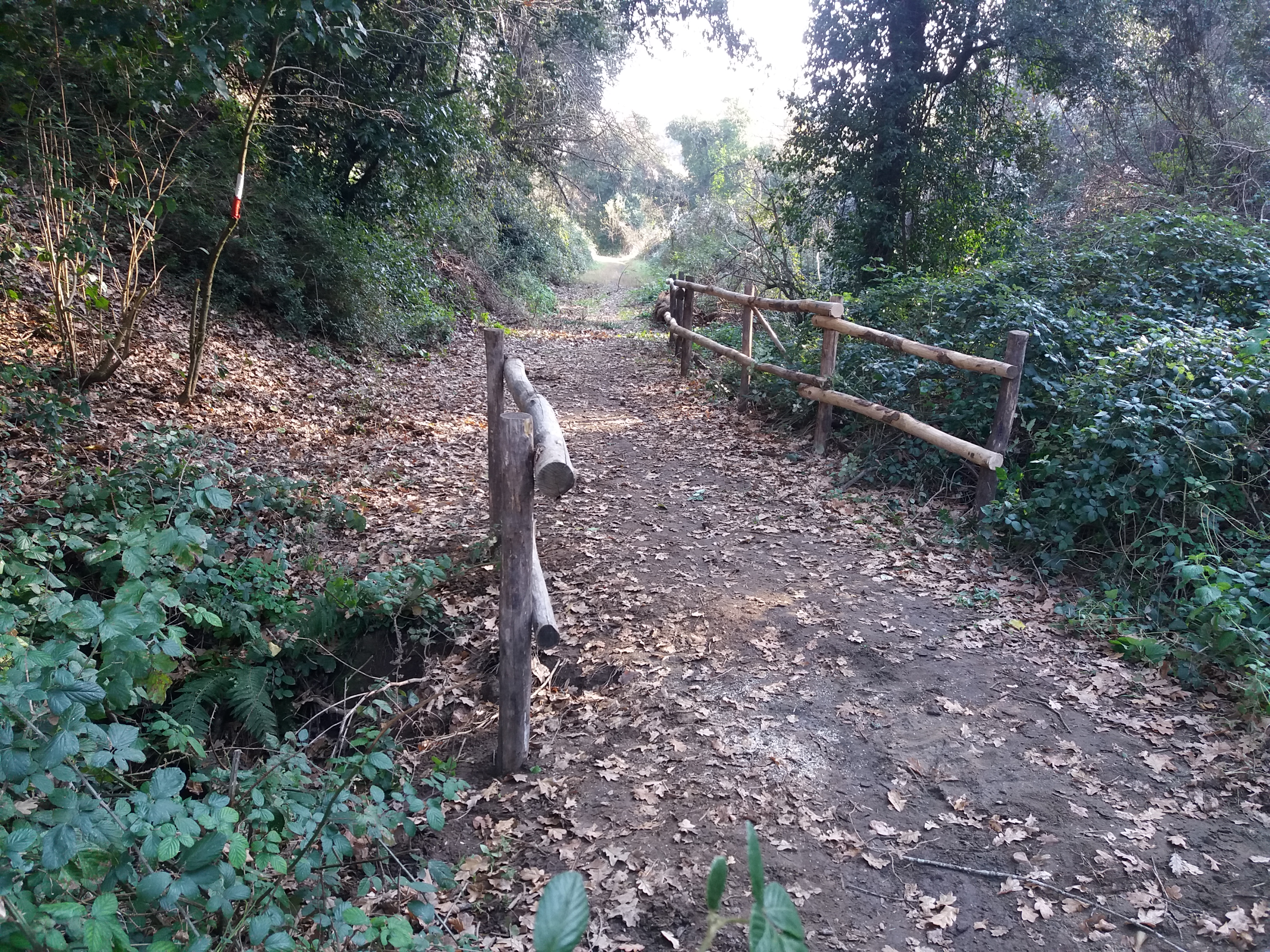 CAI 208c Anello Tombe Rupestri