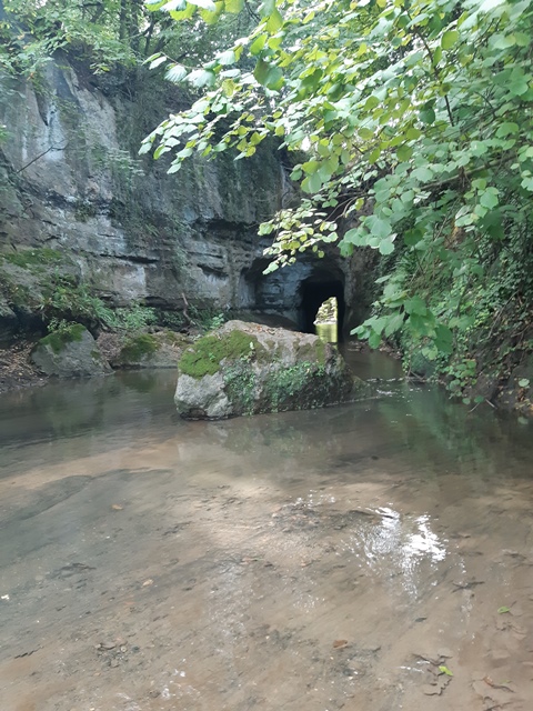 Contributo fotografico dei Guardiaparco Paolo Meschini e Paolo Verucci