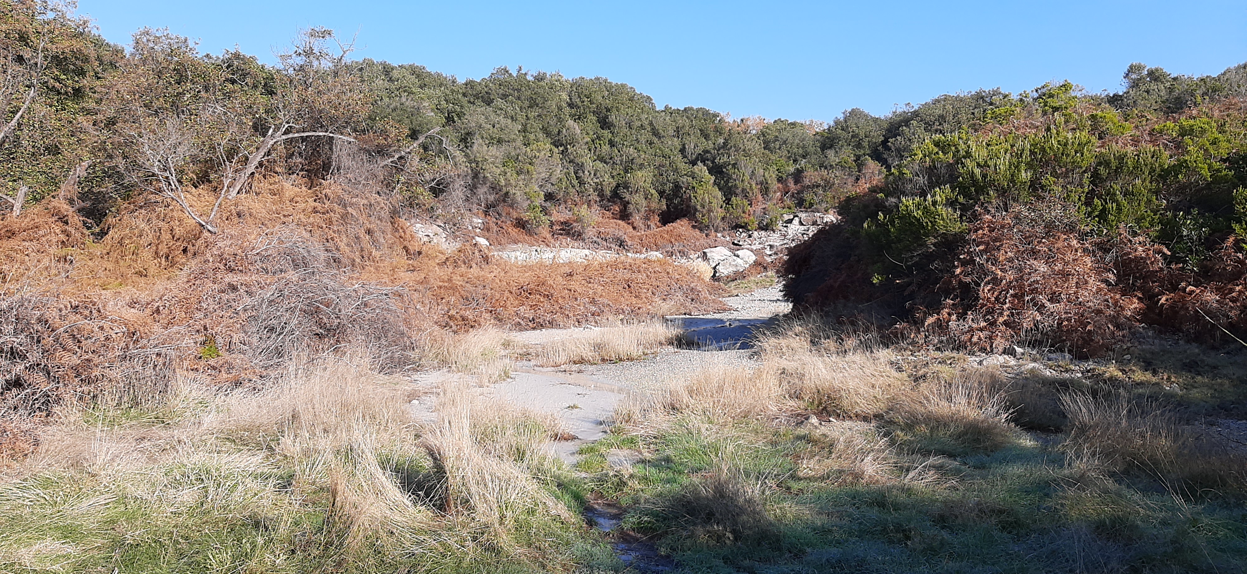 Chiusura Riserva nei giorni sabato 29 e domenica 30 marzo 2025