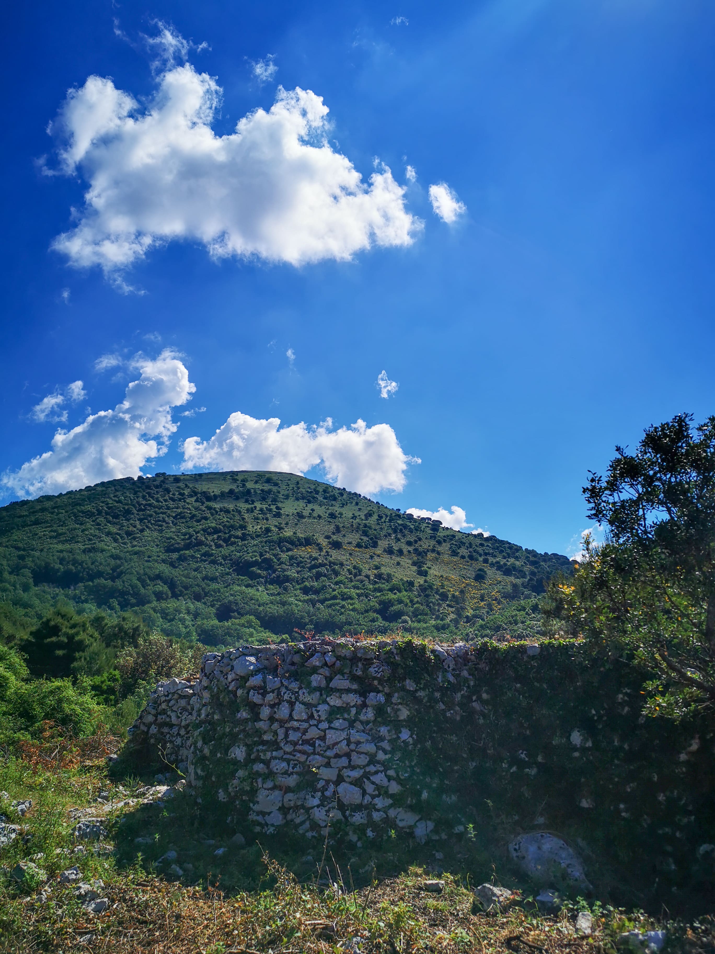 Monte Vele visto dai ruderi di San Vennitto