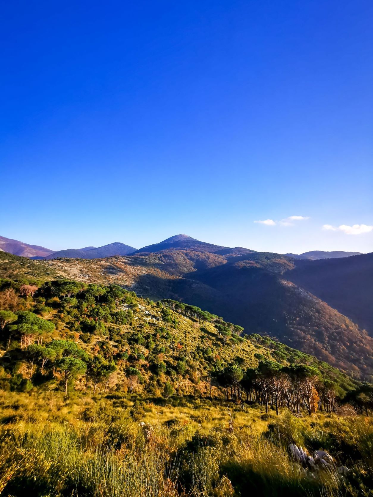 Vista da Valletonda verso Le Crocette