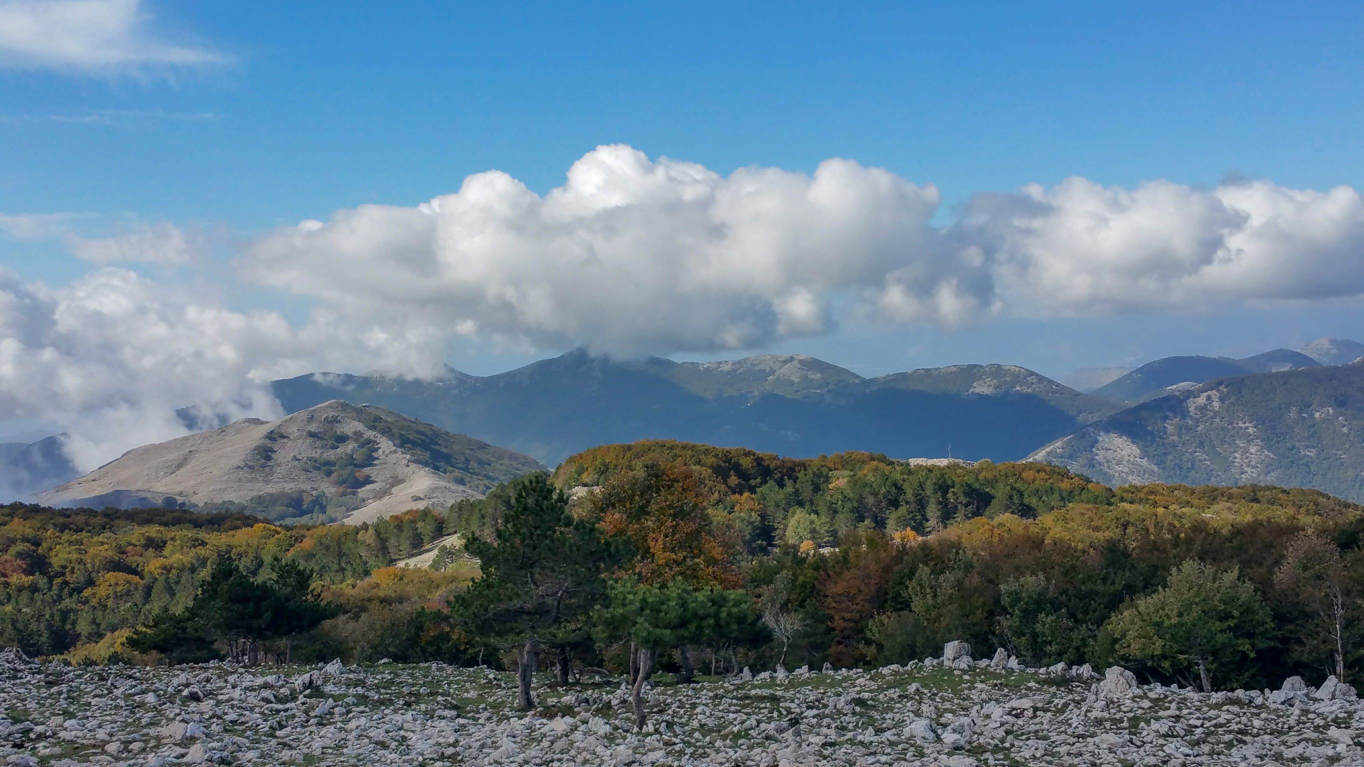 Vista dal Monte Petrella