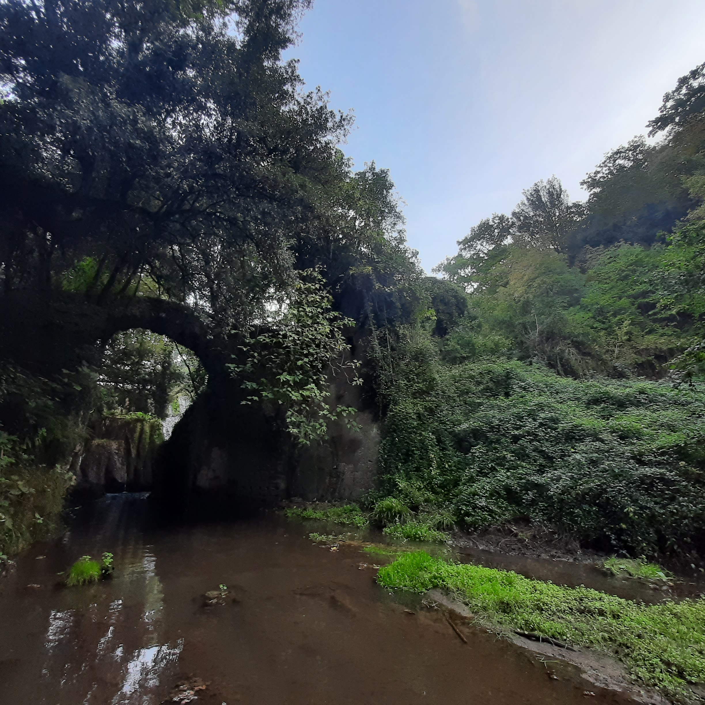 CAI 207d Strada del Sorbo - Mola di Formello